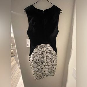 Beautiful Robert Rodriguez black and white dress